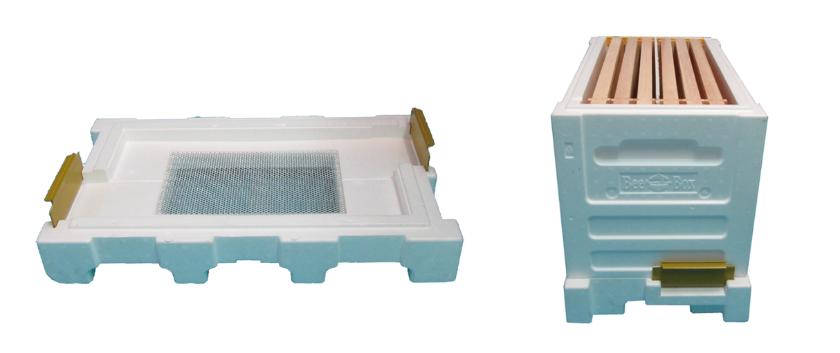 Paradise Honey Nuc & Mate 6 Waben beute Dadant Ablegerkasten Zubehör