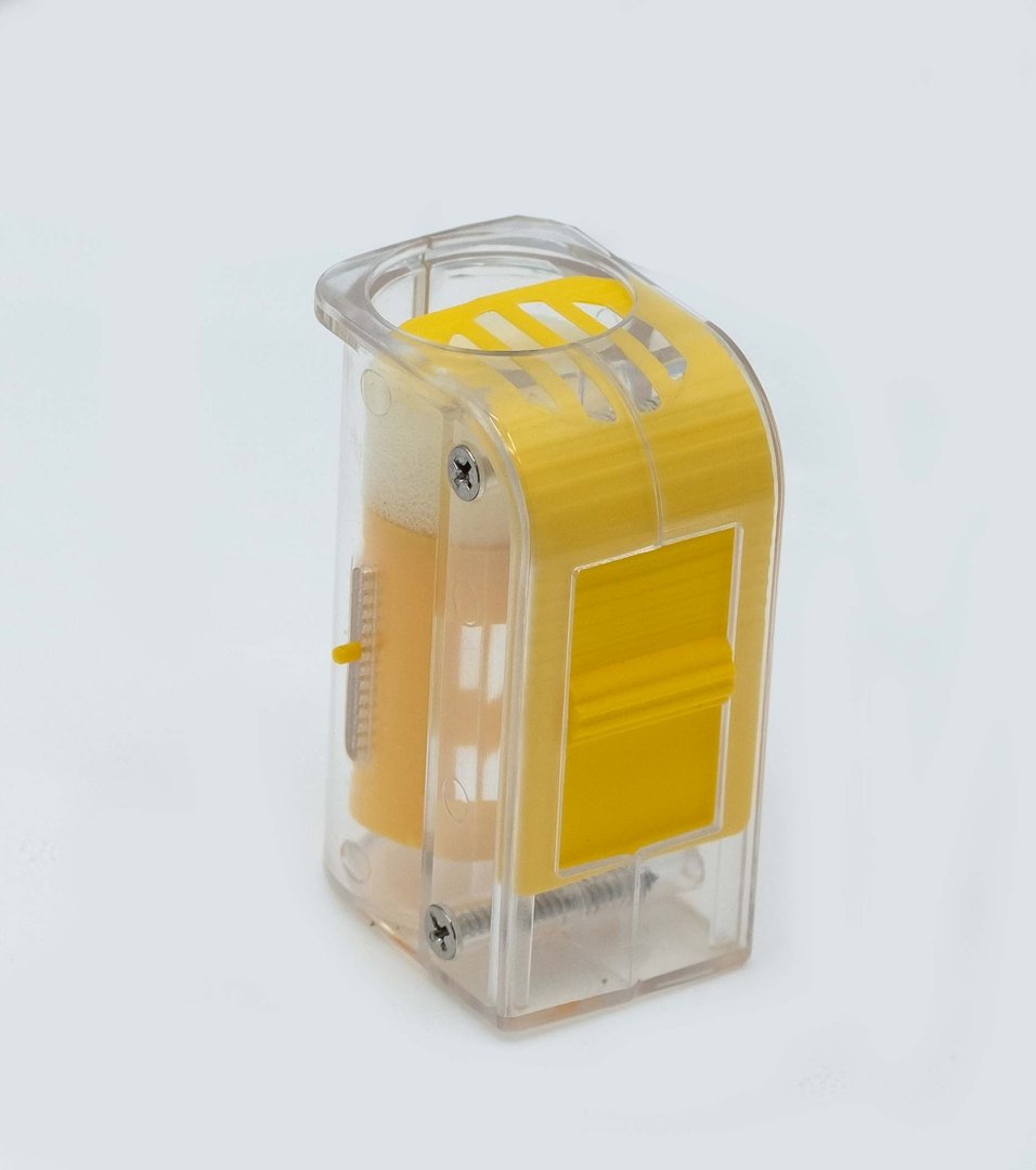 Reine marquage dessin Piston attraper dessin reine abeille Cages une main reine dessin stylo