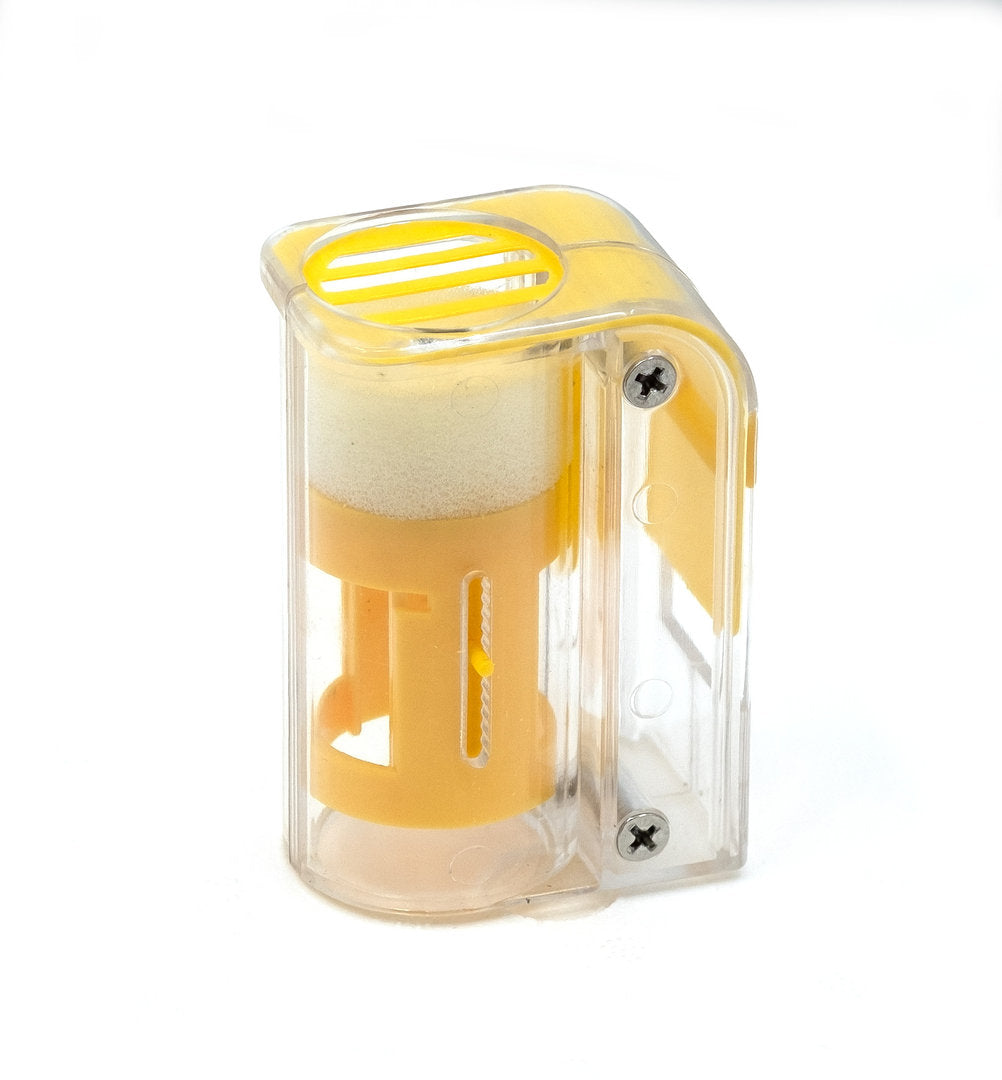 Reine marquage dessin Piston attraper dessin reine abeille Cages une main reine dessin stylo