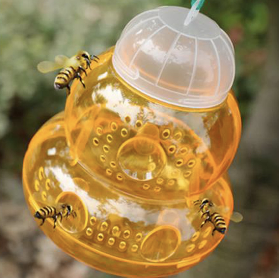Wespenvangglas wespenval geel