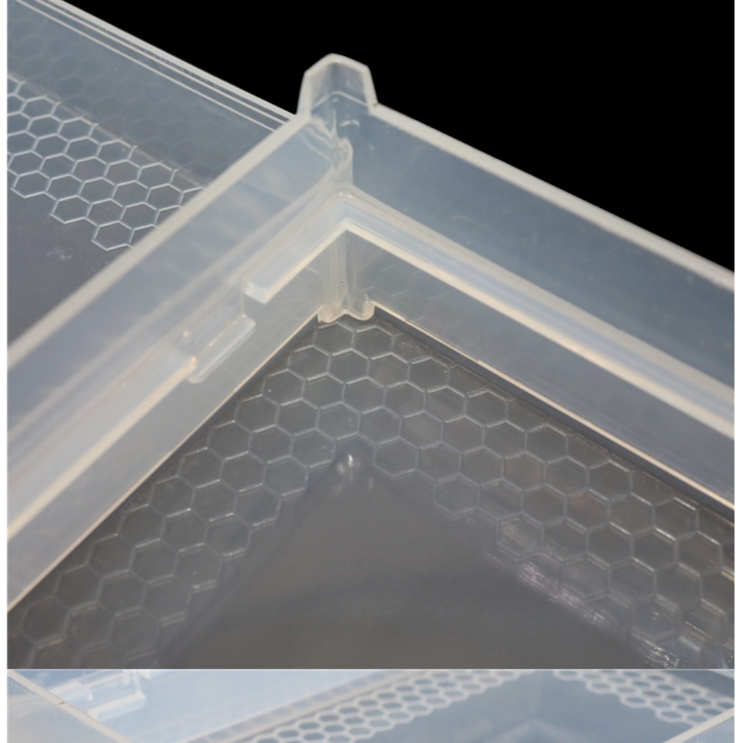 Cassette de miel en nid d'abeille 500g 10 cadres pour miel en nid d'abeille Zander Dadant DNM