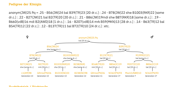 Buckfast Queen Mated F0 2025 Baltrum Island-paringsplaats