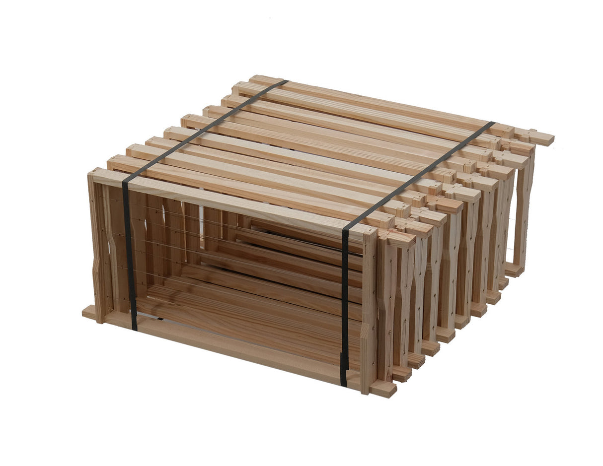 Zander Hoffmann-zijramen, met ogen en draad, Hoffman Liebig Hive