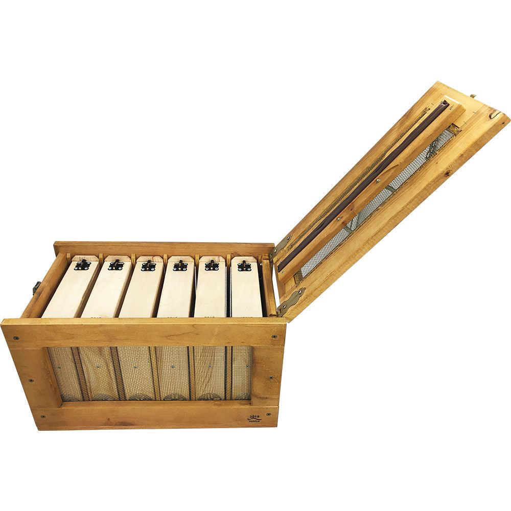 Transportbox voor 6 enkelvoudige kasten – Veilig en efficiënt transport voor het kweken van koninginnen