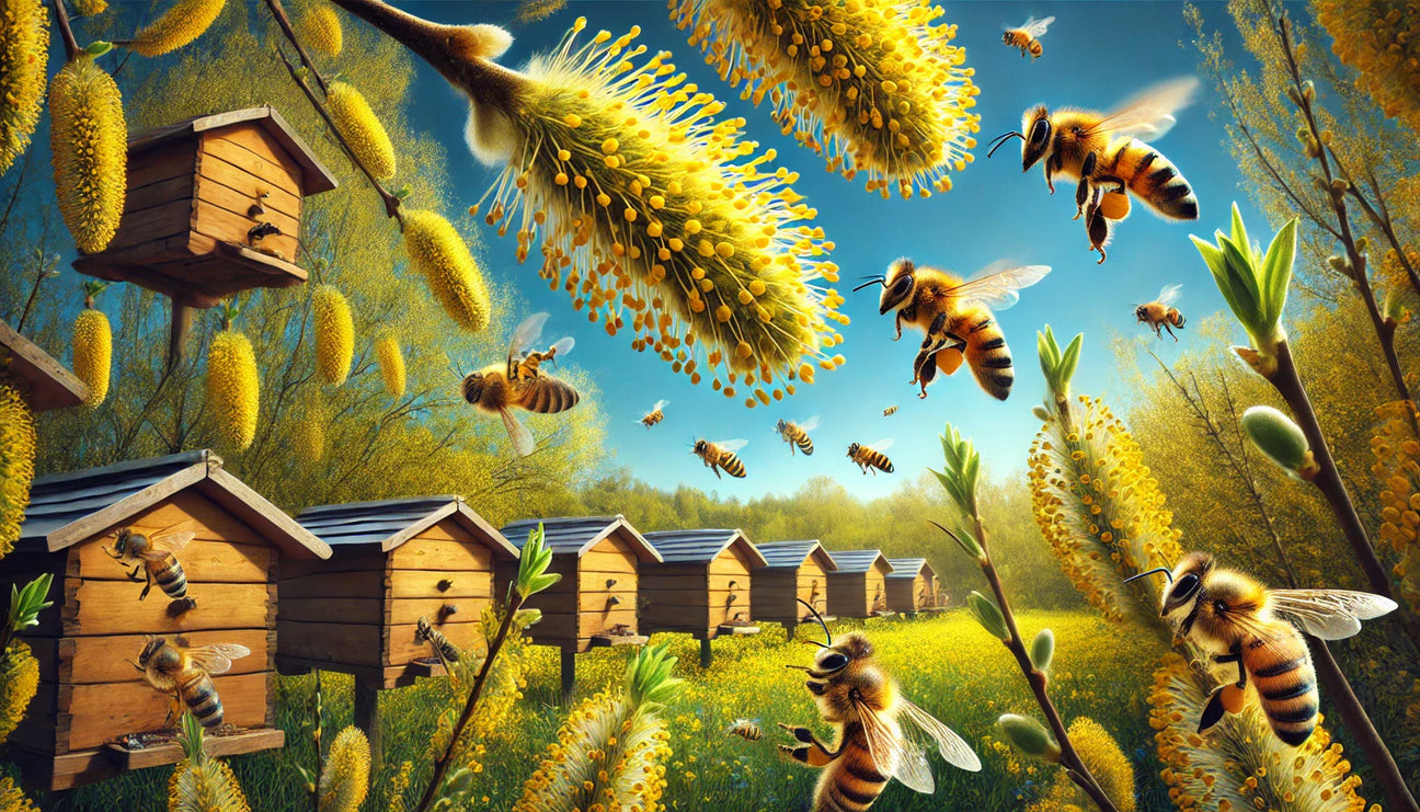 Diesen Monat Beliebt