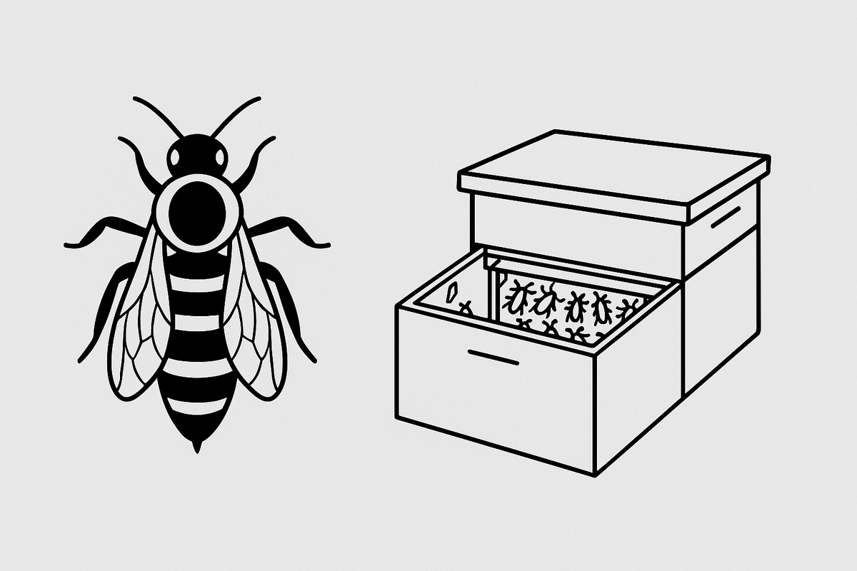 Bienenkönigin-Markierer Mit Kolben – Einhand-Fanghilfe Aus Kunststoff, Sicher & Praktisch Für Imker Bienenkönigin Markierer Fänger Bienenkönigin-Markierer Mit Kolben – Einhand-Fanghilfe Aus Kunststoff, Sicher & Praktisch Für Imker Bienenkönigin Markierer Fänger