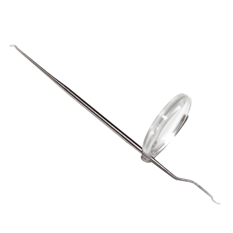 Ago per larve a doppia faccia con lente d'ingrandimento rimovibile, strumento per larve regina delle api in acciaio inossidabile, cucchiaio per larve