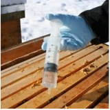 Serumwerk OXAALZUUR BERNBURG 40 mg/ml – betrouwbare Varroa-behandeling voor zomer en winter