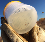 Bestrijding van varroamijtplagen, Varroa-controle, Varroamijttest, poedersuiker