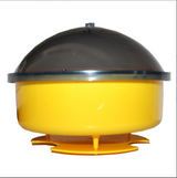 Wespenval glas, grote wespenval, insectenval