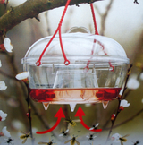 Wespenval glas, grote wespenval, insectenval