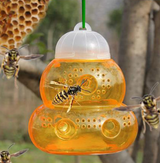 Trappola per vespe in vetro giallo