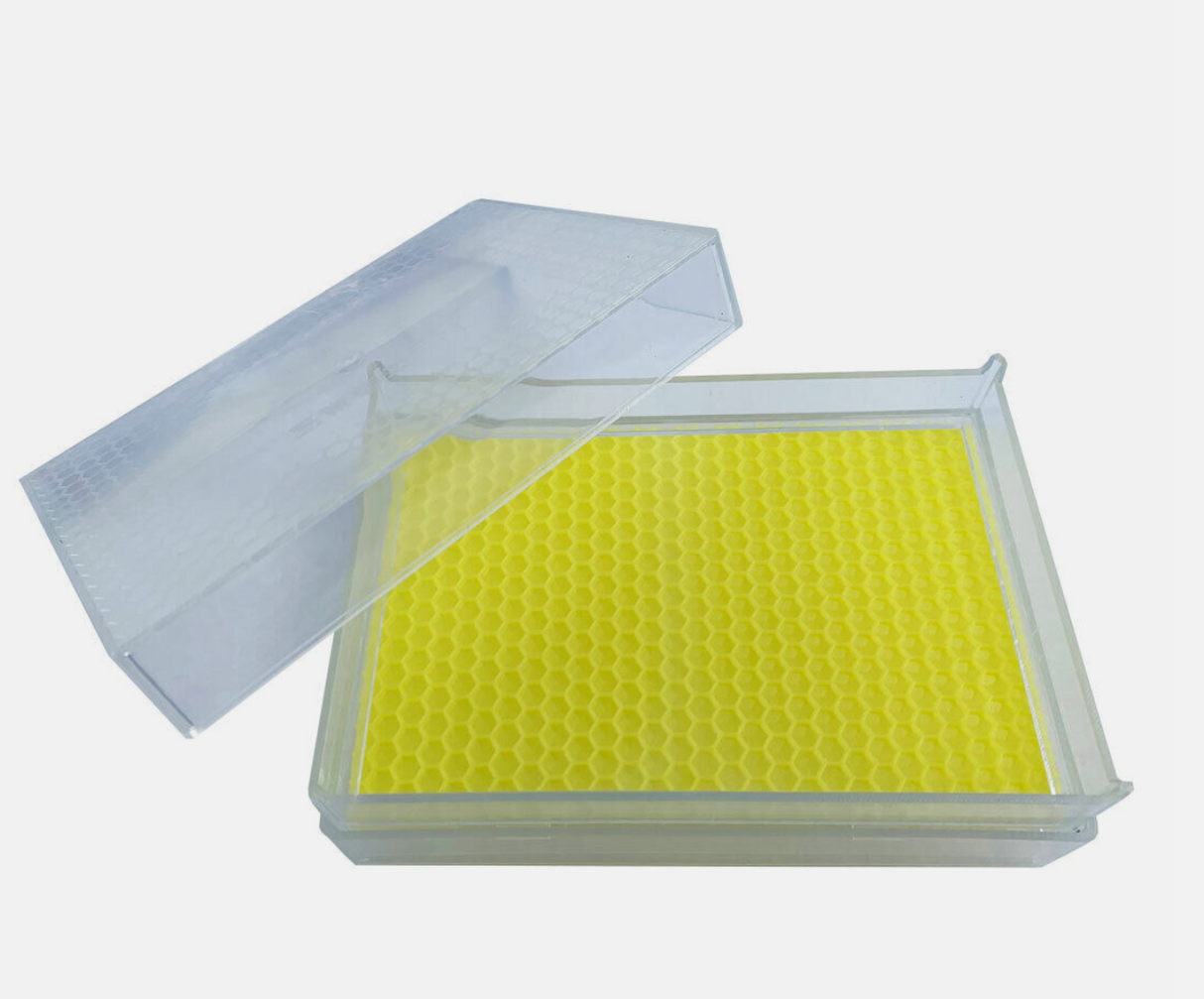 Cassette de miel en nid d'abeille 500g 10 cadres pour miel en nid d'abeille Zander Dadant DNM