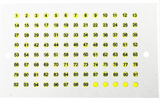 Luminous Opalite Plate Set with Numbers for Queen Marking Drawing Plates Classic 5x104 Queen Numbers 1-99