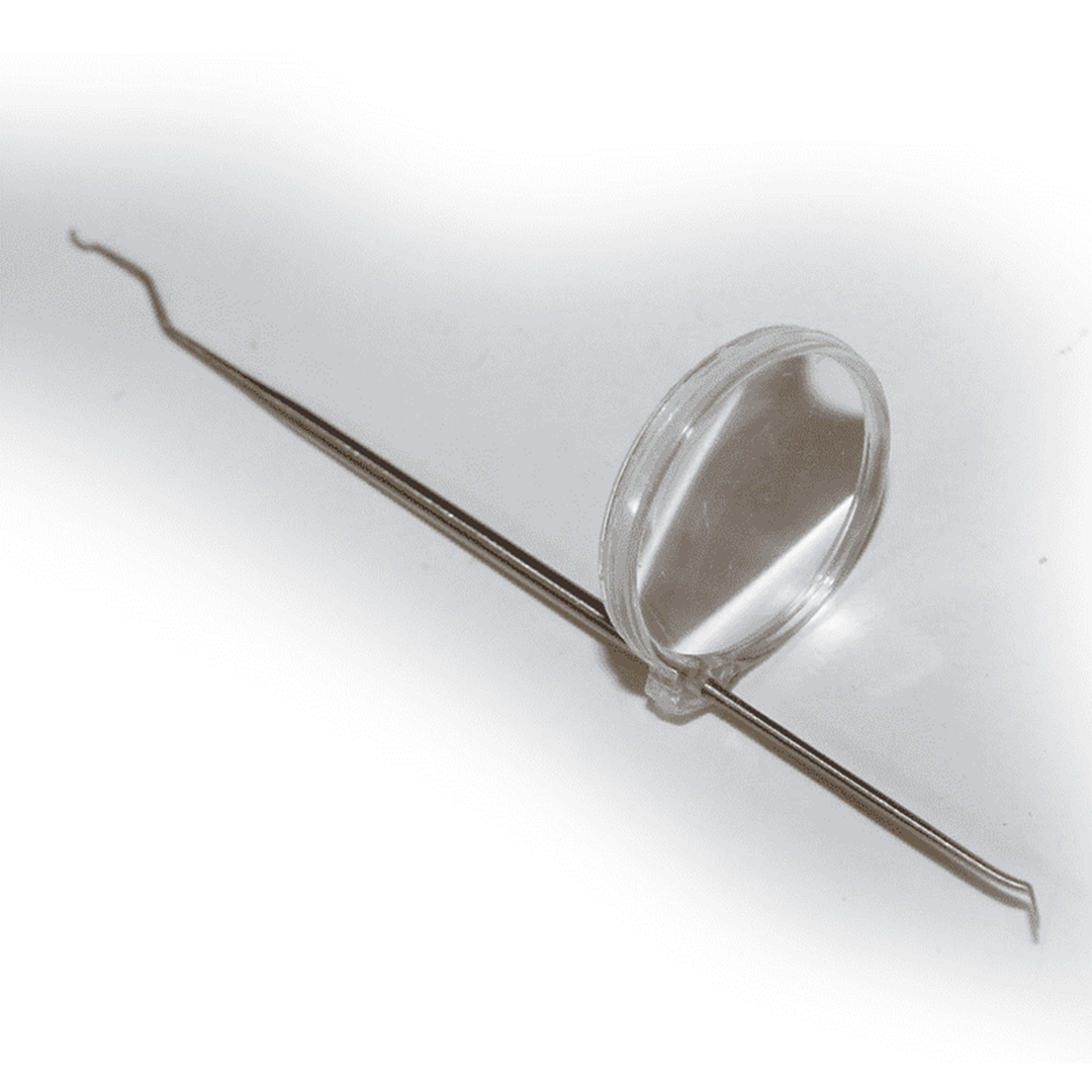 Ago per larve a doppia faccia con lente d'ingrandimento rimovibile, strumento per larve regina delle api in acciaio inossidabile, cucchiaio per larve