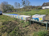 Offshoot Small Bee Colony Dadant US Bees, Economic Colony Bee Colony Buckfast F1