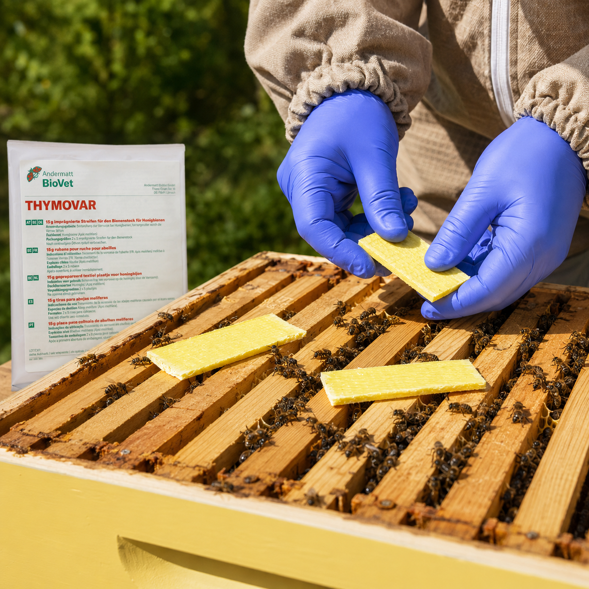 THYMOVAR® gegen Varroa Tymaol 2x5 Schwammtuch Plättchen Präparat für Sommerbehandlung