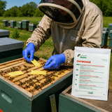 THYMOVAR® gegen Varroa Tymaol 10 Pakete  2x5 Schwammtuch Plättchen Präparat für Sommerbehandlung