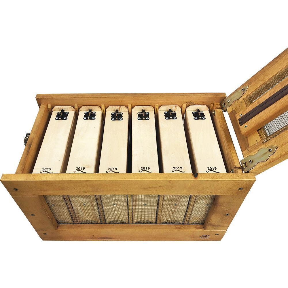 Transportbox für 6 EWK - Einwabenkästen Sicherer und effizienter Transport für die Königinnenzucht