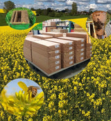 Bienenwagner pareti centrali arrotolate 1 kg di cera tedesca normale DNM Zander Dadant Mini Plus certificata